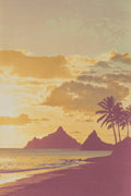 Tropical Coast Silhouette Art Print | Palm Fronds Wall Art | Warm Ochre & Rose Cyanotype — grid