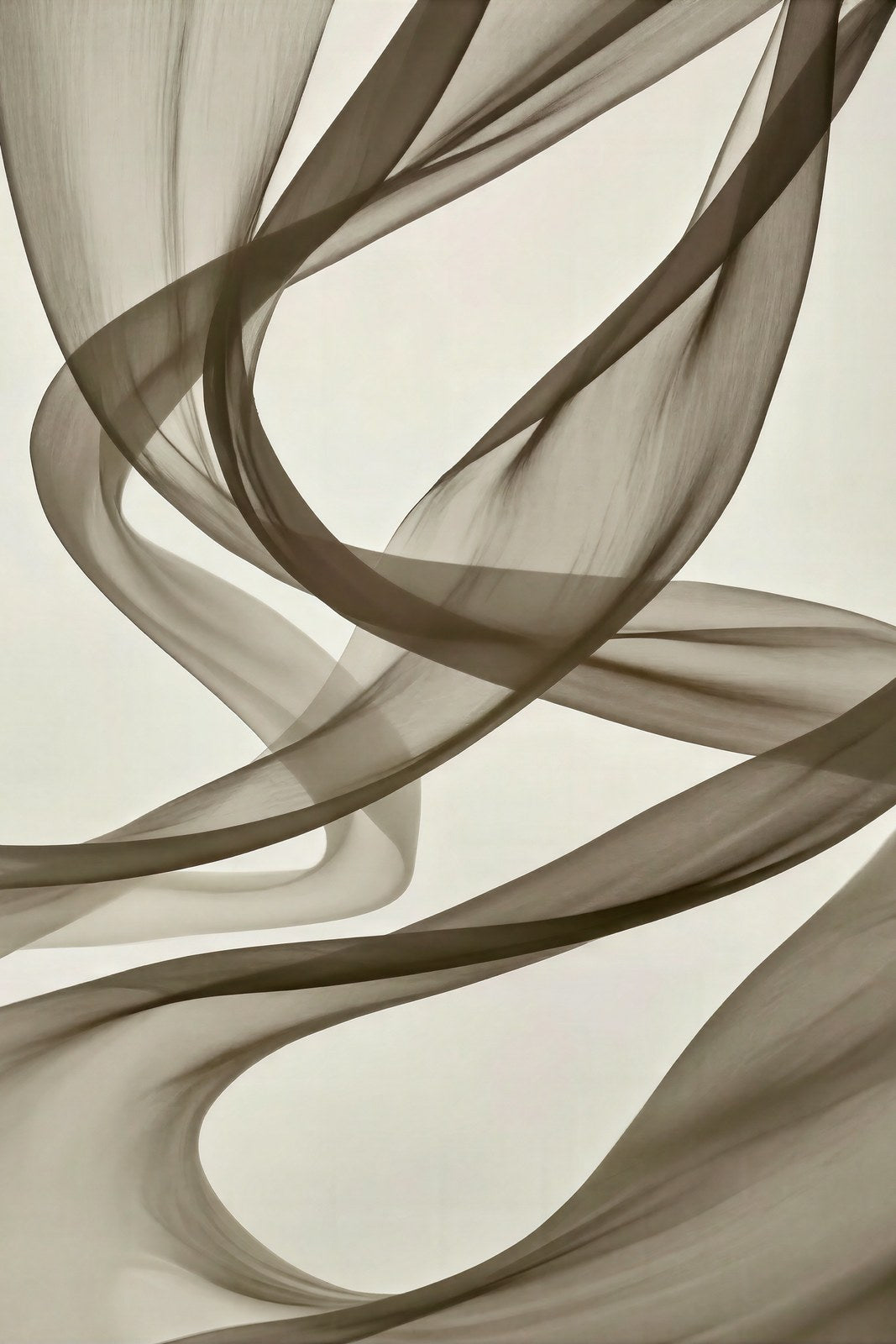 Flowing Silk Filaments Wall Art | Art Nouveau Whiplash | Monochrome Abstract Print — grid
