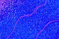 Ultramarine Mosaic Wall Art, Abstract Colour Field Art Print with Violet Tessera Detail — grid