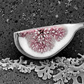Fig Interior Wall Art · Monochrome Botanical Macro Print · Silver Grey Science Art — grid