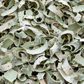 Birch Bark Wall Art Print | Pale Celadon & Sage Texture | Minimalist Nature Decor — grid