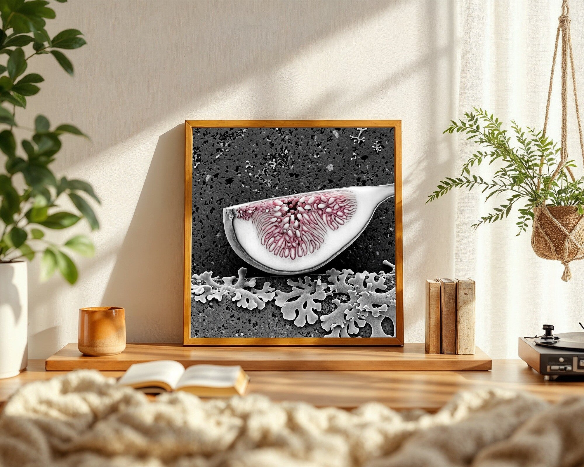 Fig Interior Wall Art · Monochrome Botanical Macro Print · Silver Grey Science Art — room-s-clean